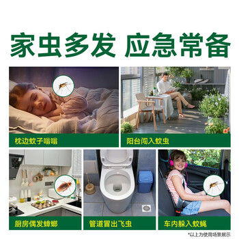 巴斯夫除虫菊杀虫剂喷雾蟑螂药蚂蚁跳蚤臭虫苍蝇衣鱼虫小飞虫下水道80ml