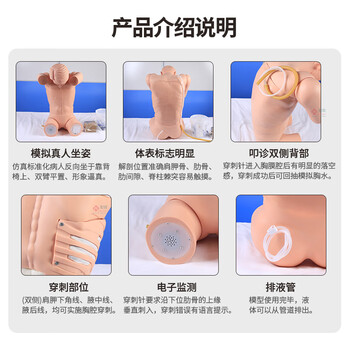 勤良胸腔(背部)穿刺训练模拟人模型 高级综合穿刺训练模拟人急救护理训练模拟人带语音提示系统 QL/CK812 勤良胸腔(背部)穿刺训练模拟人模型 高级综合穿刺训练模拟人急救护理训练模拟人带语音提示系统 QL/CK812