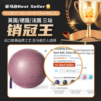 PROIRON普力艾 瑜伽球孕妇盆底肌萝卜蹲婴儿儿童感统训练大龙球 65cm红
