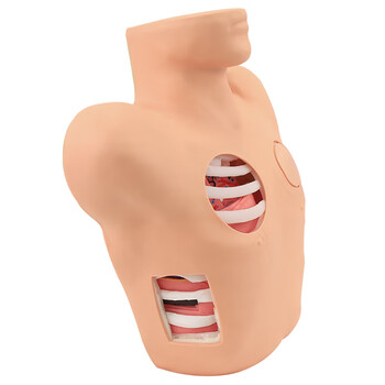 勤良胸腔穿刺引流训练模型模拟人闭式穿刺引流术教学训练模型人体穿刺训练模型气胸穿刺减压模型QL/L66