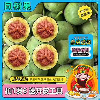 【東京文玩育成】文玩核桃 野生小众 孤品 東京文玩育成】文玩核桃 野生小众 孤品 没遇见喜欢的文玩核桃？了解