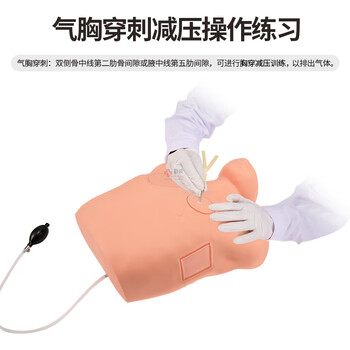 勤良高级气胸穿刺减压训练模型模拟人医用气胸穿刺急救练习人体模型淋巴结穿刺教学训练模型 QL/LQ7