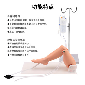 勤良胫骨穿刺训练模型 成人骨髓腔穿刺训练股静脉 穿刺输液训练模块 骨髓穿刺训练模块QL/L65A