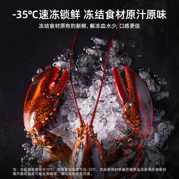 美菱141L单温家用冷柜低霜直冷定频一级能效-35°速冻机械控温彩钢面板BC/BD-141DT白