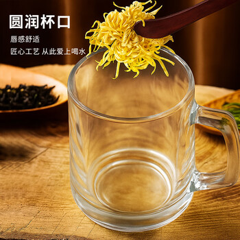 喜碧(Scybe)茶杯耐热玻璃杯办公杯玻璃茶杯带盖把手杯玻璃水杯格隆380ml 2只 喜碧(Scybe)茶杯耐热玻璃杯办公杯玻璃茶杯带盖把手杯玻璃水杯格隆380ml 2只