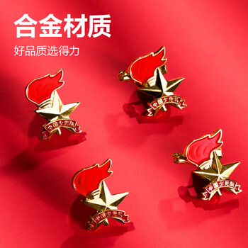 得力（deli）【全网低价】得力(deli)少先队队徽 小学生少先队员队徽 立体安全扣 6枚装 50560