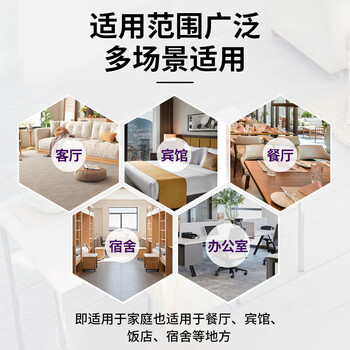 安速日本品牌 杀虫剂喷雾600ml无香型 杀蟑喷雾 蟑螂药 灭蟑螂 杀虫剂