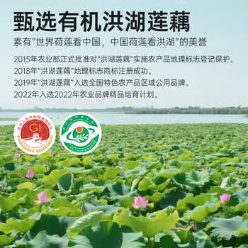 承天府纯藕粉500g洪湖莲藕粉术后湖北特产原味无蔗糖官方正品无添加养胃