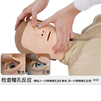 勤良心肺复苏训练假人模型心肺复苏除颤模拟人CPR人工呼吸胸外按压气道开放安全急救培训假人模型QL/CPR480A
