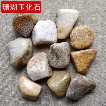 玉化珊瑚玉价格报价行情- 京东