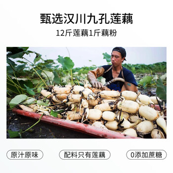 捷氏100%纯藕粉0脂肪无糖添加莲藕粉羹冲饮健身代餐营养早餐食品550克