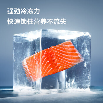 TCL 171L两门冰箱二级能效直冷小户型低音养鲜冰箱迷你小型出租房家用电冰箱R171L1-B