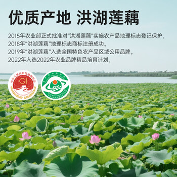 养瑞多洪湖纯藕粉500g湖北特产官方正品宗莲藕粉术后无添加糖养胃中老年