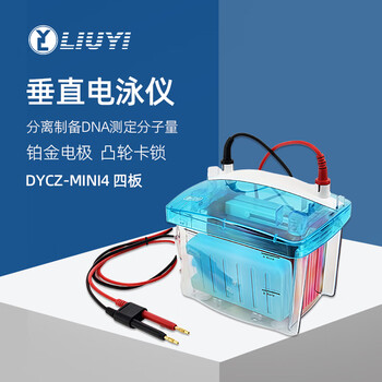 六一牌 四板垂直电泳仪DYCZ-MINI4 实验室制备分析鉴定DNA及测定分子电泳仪