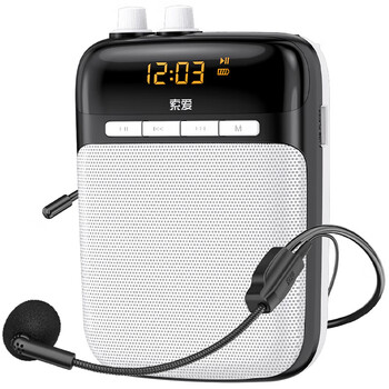 索爱（soaiy）S318小蜜蜂扩音器教师专用蓝牙音箱音响小喇叭TF卡U盘录音麦克风户外导游便携式教学Type-c 黑