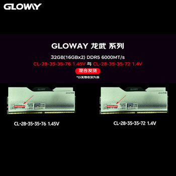 光威（Gloway）32GB(16GBx2) DDR5 6000 台式机内存条 龙武 马甲条 海力士A-die CL28 深空银【部分兼容】