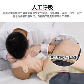 勤良心肺复苏模拟人半身假人 多功能CPR人工呼吸胸外按压急救训练模型医学教学模型教具 语音/计数/训练/考核