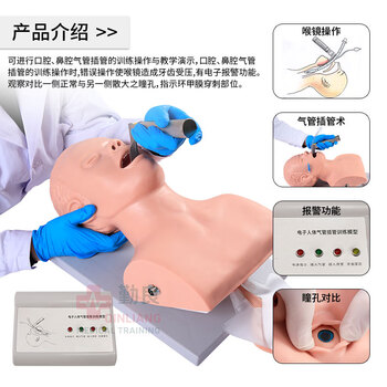勤良成人电子气管插管训练模型（牙齿受压警报）口鼻咽喉插管置管操作练习模拟人气道阻塞通气插管模型QL/J5S