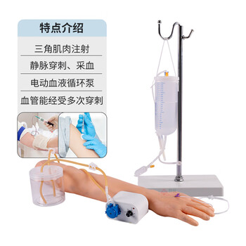 勤良高级全功能静脉穿刺及肌肉注射训练手臂模型三角肌肉注射静脉穿刺输液采血训练模型（带血液循环） QL/HS3