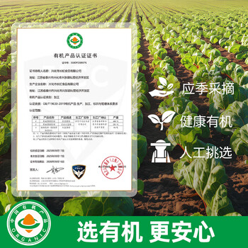 丙田 有机甜菜根粉150g 纯红甜菜头粉无添加蔗糖甜菜根汁果蔬菜粉健身