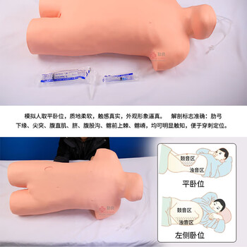 勤良腹部移动性浊叩诊与腹腔穿刺训练模型 高级综合穿刺叩诊训练模拟人人体急救训练护理人QL/CK813 勤良腹部移动性浊叩诊与腹腔穿刺训练模型 高级综合穿刺叩诊训练模拟人人体急救训练护理人QL/CK813