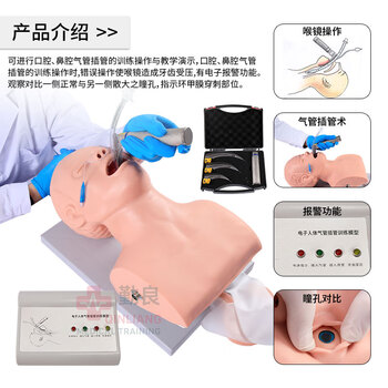 勤良成人电子气管插管训练模型（牙齿受压警报）口鼻咽喉插管置管操作练习模拟人气道阻塞通气插管模型QL/J5SA