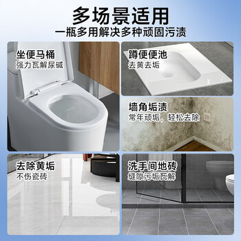 巨奇严选尿碱溶解剂去尿碱强力去污除垢马桶清洁剂厕所祛黄洁厕灵500g 巨奇严选尿碱溶解剂去尿碱强力去污除垢马桶清洁剂厕所祛黄洁厕灵500g