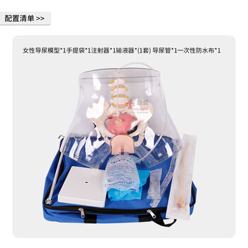 勤良透明女性导尿训练模型 导尿灌肠护理技能训练模拟人 导尿训练人体模型QL/H4D