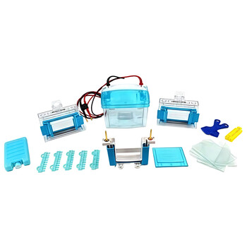 六一牌（LY） 双板垂直电泳仪DYCZ-MINI2 迷你型2板琼脂糖凝胶电泳槽实验室器材制备分析鉴定DNA及测定分子电泳设备