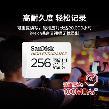 闪迪（SanDisk）256GB TF（MicroSD）4K内存卡 行车记录仪 监控摄像头专用 循环录制20,000小时 高耐用存储卡