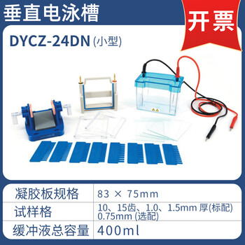 六一琼脂糖水平电泳仪DYCZ-24DN电源凝胶实验室垂直电泳槽