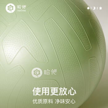 哈他瑜伽球孕妇助产防爆健身球儿童感统训练平衡弹力分区防滑大龙球