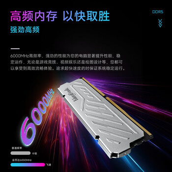 金百达（KINGBANK）32GB(16GBX2)套装 DDR5 6000 台式机内存条 国产颗粒 银爵 C36 Deepseek硬件