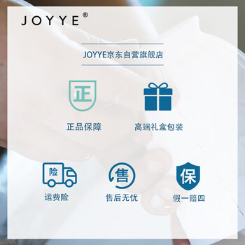 JOYYE马克杯生日礼物爱丽丝IP联名款陶瓷水杯子高档节日实用伴手礼