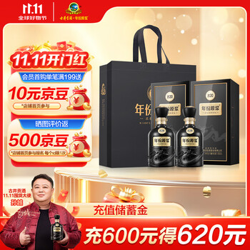 古井貢酒 古20（20年）2本入り 白酒 500ml 中国酒 古井貢酒 古20（20年