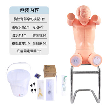 勤良胸腔(背部)穿刺训练模拟人模型 高级综合穿刺训练模拟人急救护理训练模拟人带语音提示系统 QL/CK812 勤良胸腔(背部)穿刺训练模拟人模型 高级综合穿刺训练模拟人急救护理训练模拟人带语音提示系统 QL/CK812