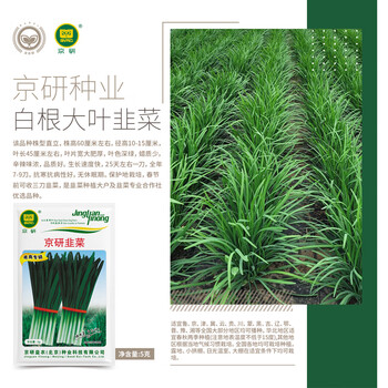 红根韭菜种子价格报价行情- 京东