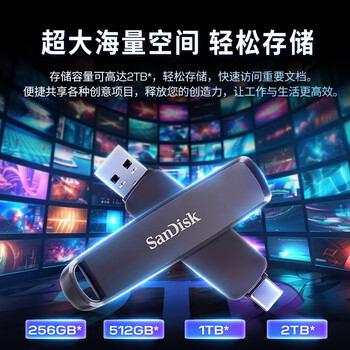 闪迪（SanDisk）1TB USB3.2 Type-C 双接口 DDE1高速固态U盘 读1000MB/s 写900MB/s 兼容手机电脑大容量金属优盘