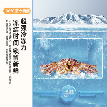 新飞(Frestec)200L全空间减霜-36°深冷速冻家用一级节能冷柜冷藏冷冻转化冰柜BC/BD-200KPDJ 新飞(Frestec)200L全空间减霜-36°深冷速冻家用一级节能冷柜冷藏冷冻转化冰柜BC/BD-200KPDJ