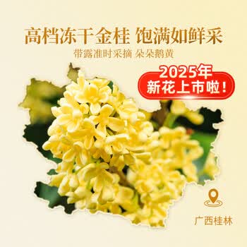 贡苑 【冻干桂花茶60g高档12A级】原味金桂林干花无熏硫蜜酱搭花草茶