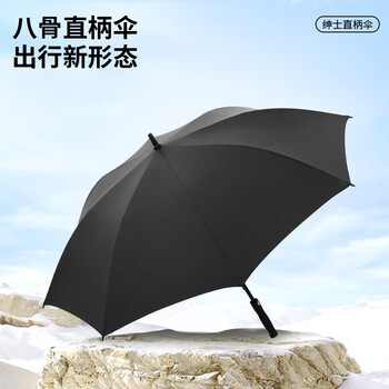 雨航（YUHANG）碳纤维高尔夫双人雨伞半自动一键秒开直柄伞男女商务伞  藏青色