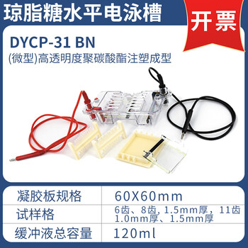 六一琼脂糖水平电泳仪DYCP-31BN电源凝胶实验室垂直电泳槽 六一琼脂糖水平电泳仪DYCP-31BN电源凝胶实验室垂直电泳槽