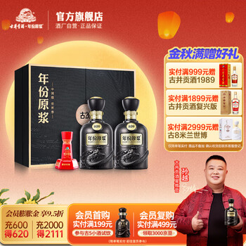 古井貢酒 古20（20年）2本入り 白酒 500ml 中国酒 webp400