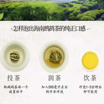 美玏 海南鹧鸪茶约40颗茶球海南正品蟅鸪凉茶叶自己喝非三亚特产约80g