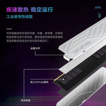 金百达（KINGBANK）32GB(16GBX2)套装 DDR5 6400 台式机内存条海力士M-die颗粒 银爵 C32 Deepseek硬件
