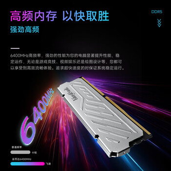 金百达（KINGBANK）32GB(16GBX2)套装 DDR5 6400 台式机内存条海力士M-die颗粒 银爵 C32 Deepseek硬件