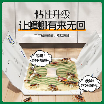 绿叶蟑螂屋蟑螂粘板10片家用蟑螂贴捕捉器2119ZZ