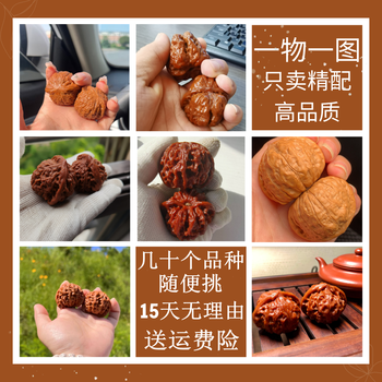 文玩堂：核桃（獅子毛）稀有品种 文玩核桃狮子头种类大全_文玩鉴赏网