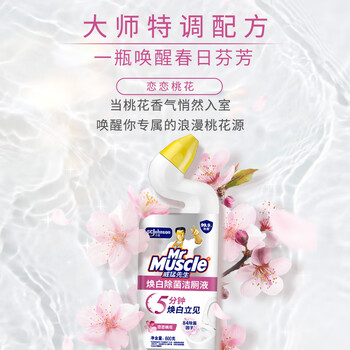 威猛先生(Mr Muscle)洁厕灵 600g*2瓶 恋恋桃花 含84精华 洁厕剂 除菌洁厕液 马桶清洁 威猛先生(Mr Muscle)洁厕灵 600g*2瓶 恋恋桃花 含84精华 洁厕剂 除菌洁厕液 马桶清洁