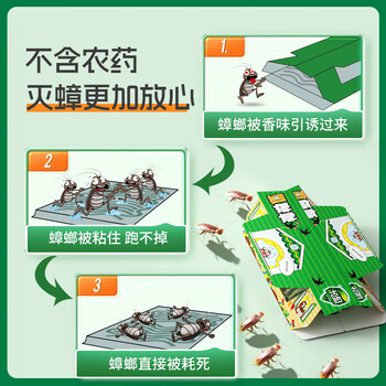 绿叶蟑螂屋蟑螂粘板10片家用蟑螂贴捕捉器2119ZZ